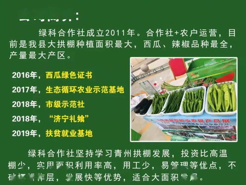 济宁市 乡村振兴科普行动 农产品营销和电商现场培训会观摩团到康驿镇观摩指导